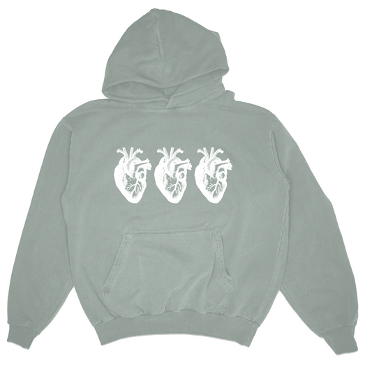 Guard Your Heart Hoodie (sage)